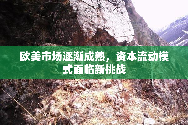 欧美市场逐渐成熟，资本流动模式面临新挑战