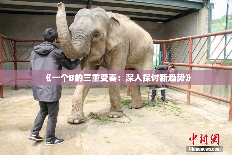 《一个B的三重变奏：深入探讨新趋势》