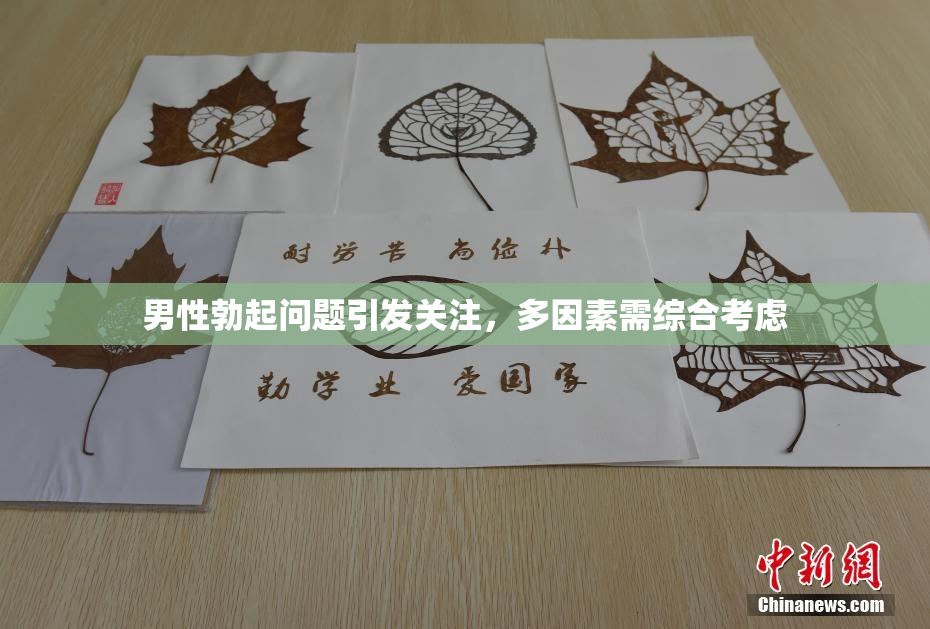 男性勃起问题引发关注，多因素需综合考虑