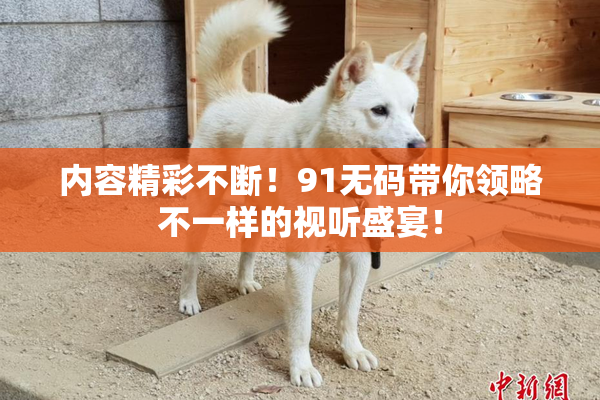 内容精彩不断！91无码带你领略不一样的视听盛宴！