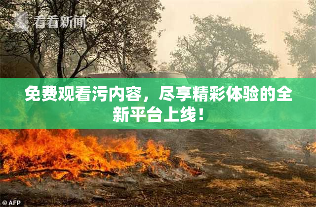 免费观看污内容，尽享精彩体验的全新平台上线！