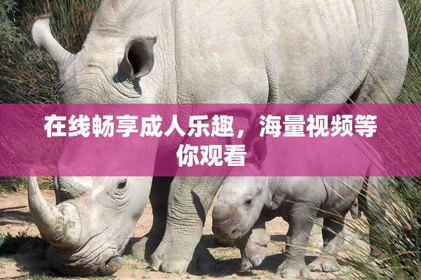 在线畅享成人乐趣，海量视频等你观看
