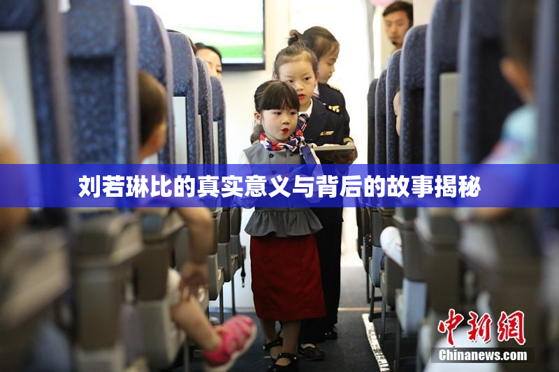 刘若琳比的真实意义与背后的故事揭秘