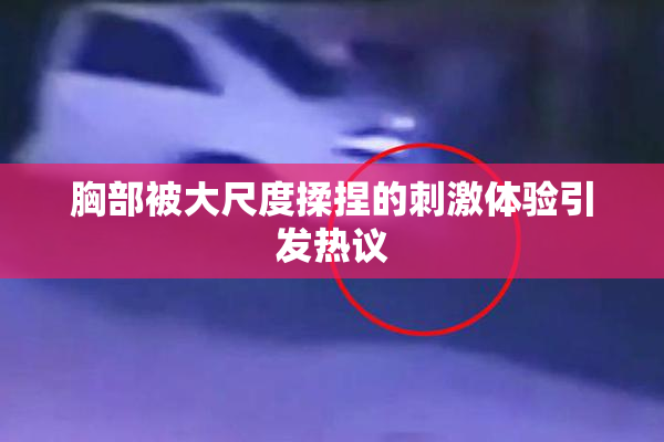 胸部被大尺度揉捏的刺激体验引发热议