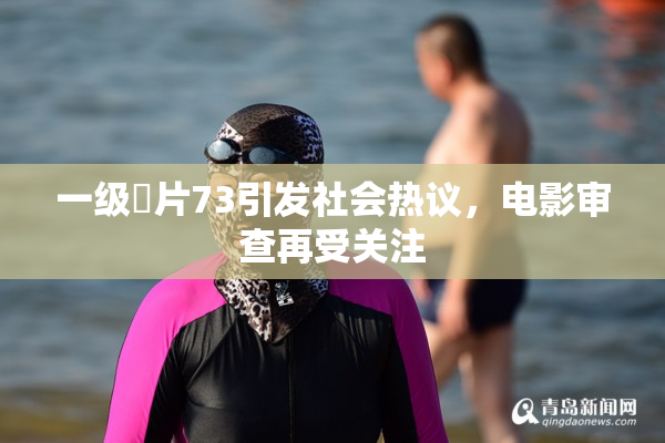 一级婬片73引发社会热议，电影审查再受关注