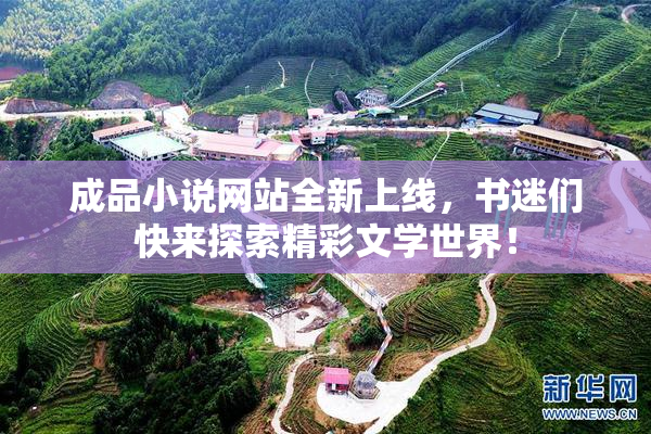 成品小说网站全新上线，书迷们快来探索精彩文学世界！