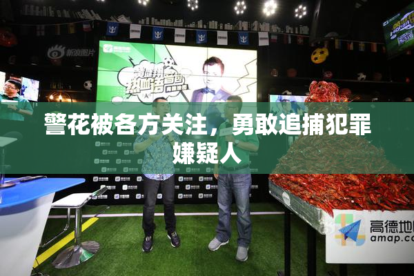 警花被各方关注，勇敢追捕犯罪嫌疑人