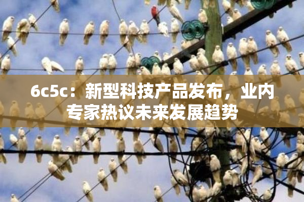 6c5c：新型科技产品发布，业内专家热议未来发展趋势
