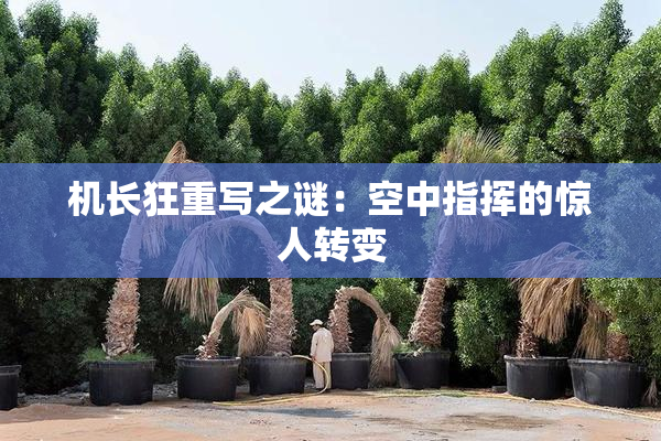 机长狂重写之谜：空中指挥的惊人转变