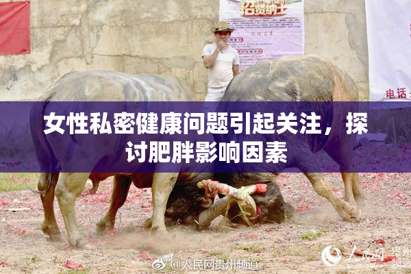 女性私密健康问题引起关注，探讨肥胖影响因素