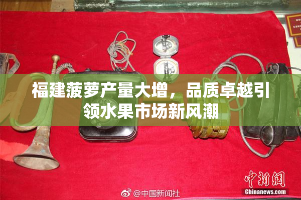 福建菠萝产量大增，品质卓越引领水果市场新风潮