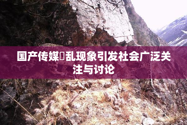 国产传媒婬乱现象引发社会广泛关注与讨论