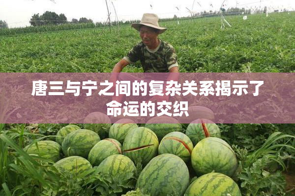 唐三与宁之间的复杂关系揭示了命运的交织