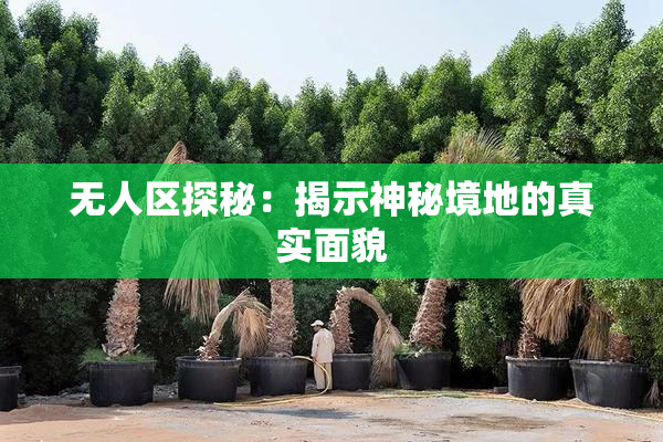 无人区探秘：揭示神秘境地的真实面貌