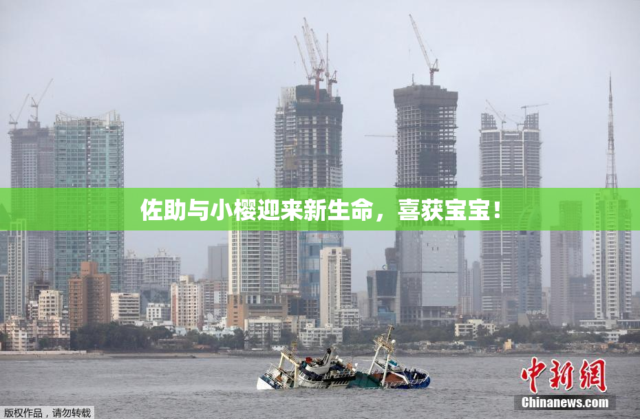 佐助与小樱迎来新生命，喜获宝宝！