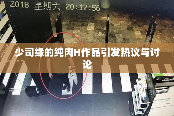 少司缘的纯肉H作品引发热议与讨论