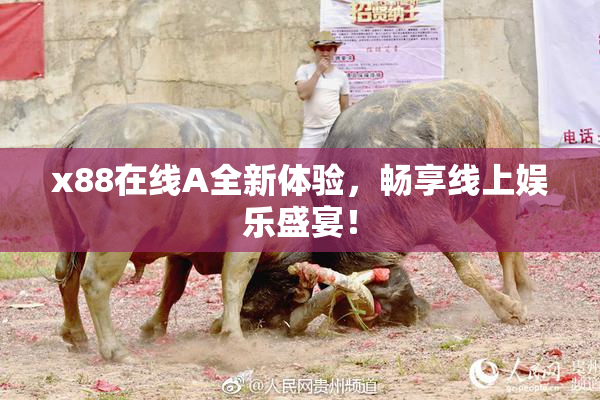 x88在线A全新体验，畅享线上娱乐盛宴！