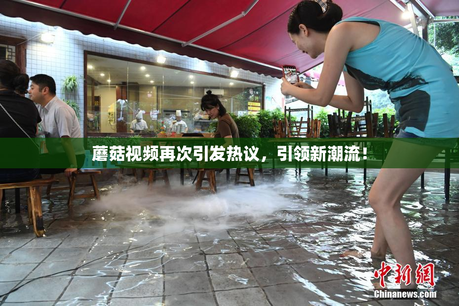 蘑菇视频再次引发热议，引领新潮流！
