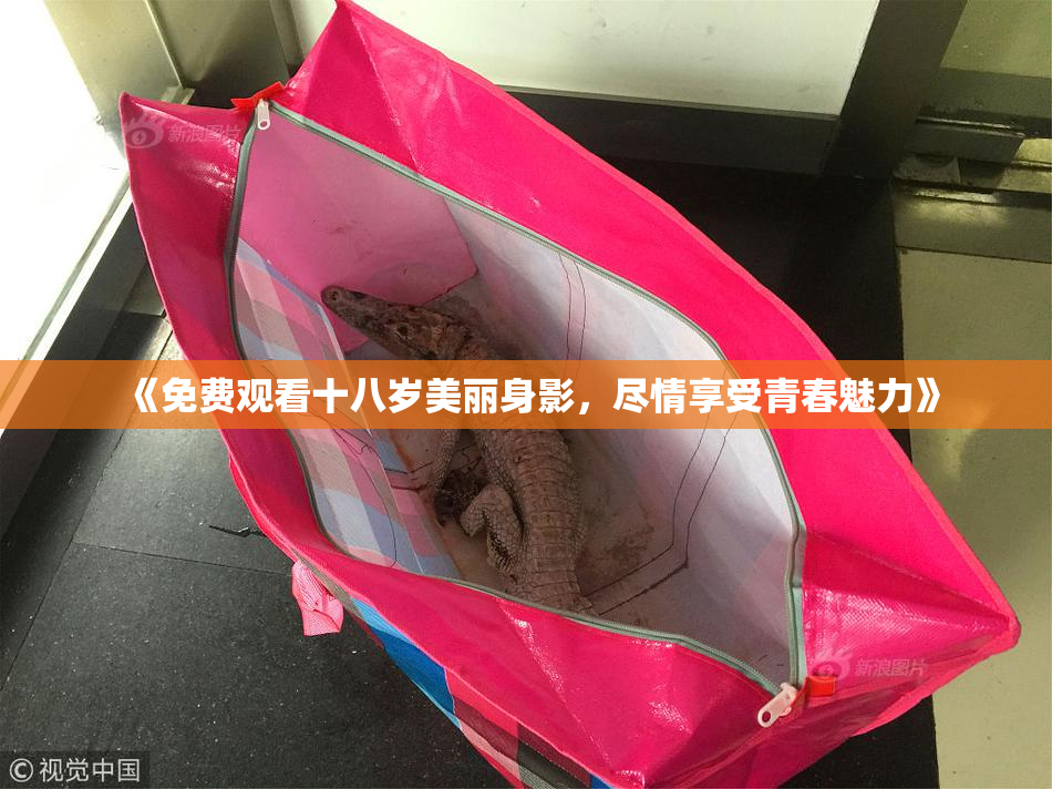 《免费观看十八岁美丽身影，尽情享受青春魅力》