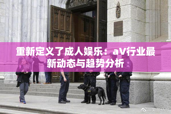 重新定义了成人娱乐：aV行业最新动态与趋势分析