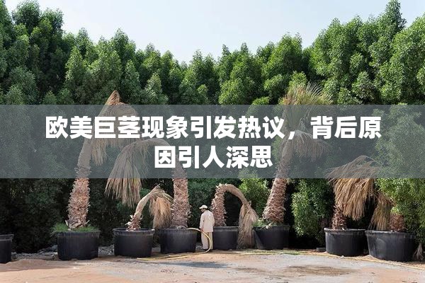 欧美巨茎现象引发热议，背后原因引人深思