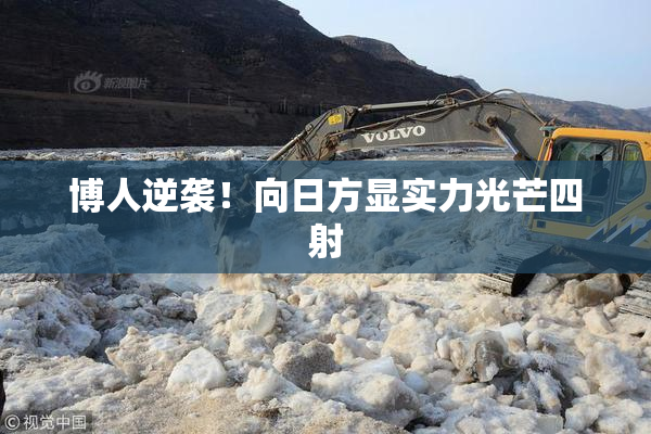 博人逆袭！向日方显实力光芒四射