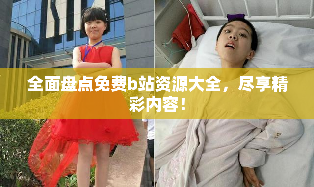 全面盘点免费b站资源大全，尽享精彩内容！