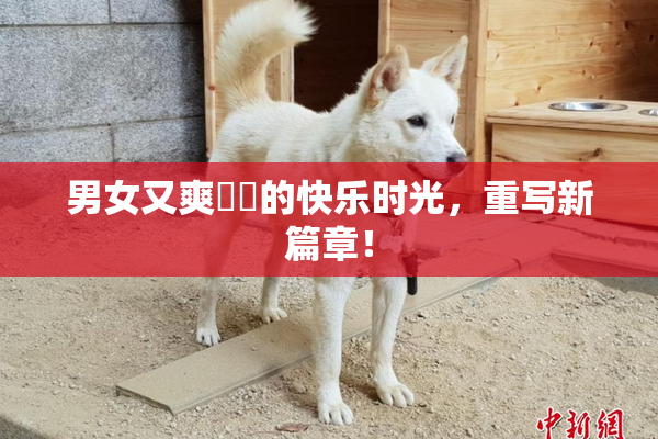 男女又爽❌‌的快乐时光，重写新篇章！
