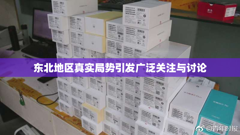 东北地区真实局势引发广泛关注与讨论
