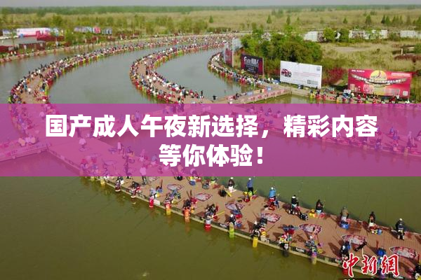 国产成人午夜新选择，精彩内容等你体验！