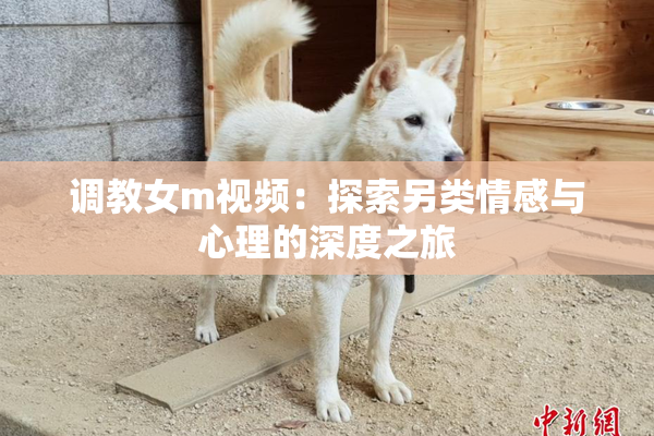 调教女m视频：探索另类情感与心理的深度之旅