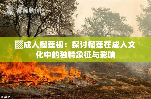 ▓成人榴莲视：探讨榴莲在成人文化中的独特象征与影响