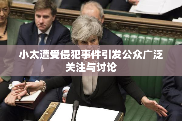 小太遭受侵犯事件引发公众广泛关注与讨论