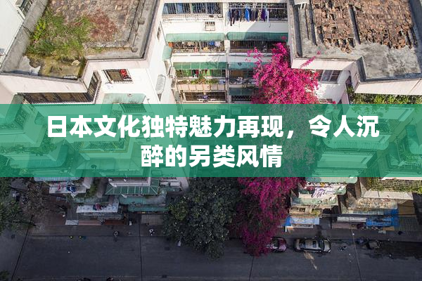 日本文化独特魅力再现，令人沉醉的另类风情