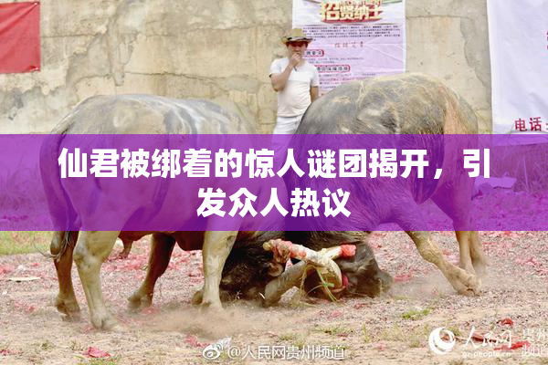 仙君被绑着的惊人谜团揭开，引发众人热议