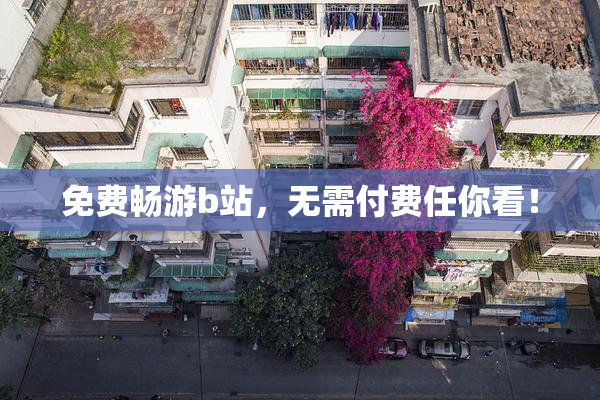 免费畅游b站，无需付费任你看！
