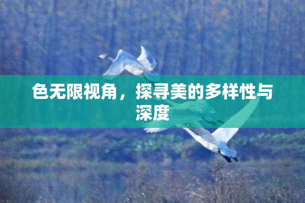色无限视角，探寻美的多样性与深度