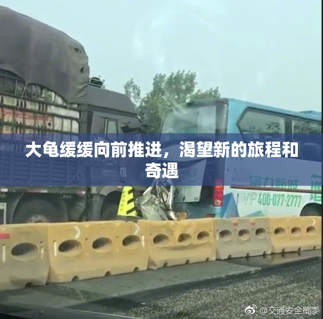 大龟缓缓向前推进，渴望新的旅程和奇遇