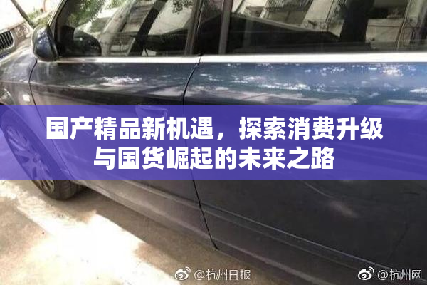 国产精品新机遇，探索消费升级与国货崛起的未来之路