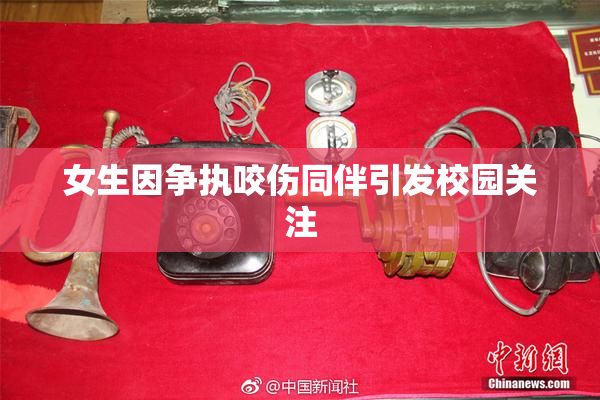 女生因争执咬伤同伴引发校园关注