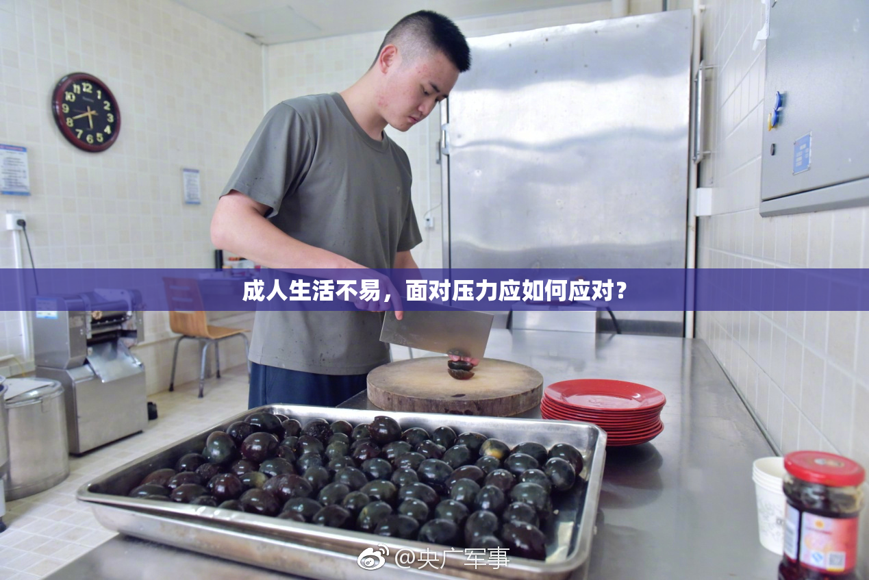 成人生活不易，面对压力应如何应对？