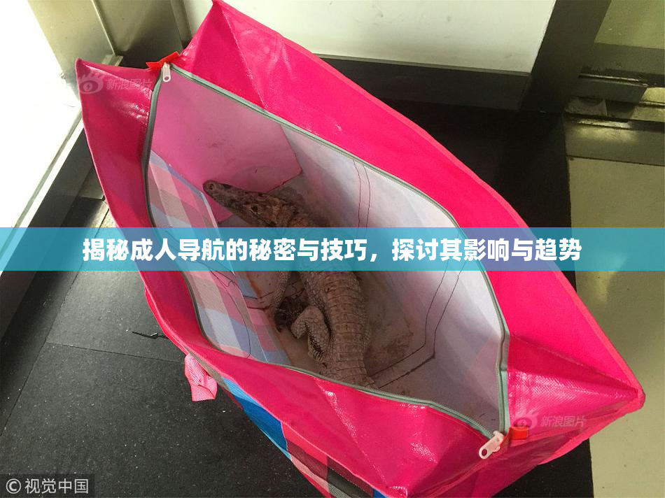 揭秘成人导航的秘密与技巧，探讨其影响与趋势