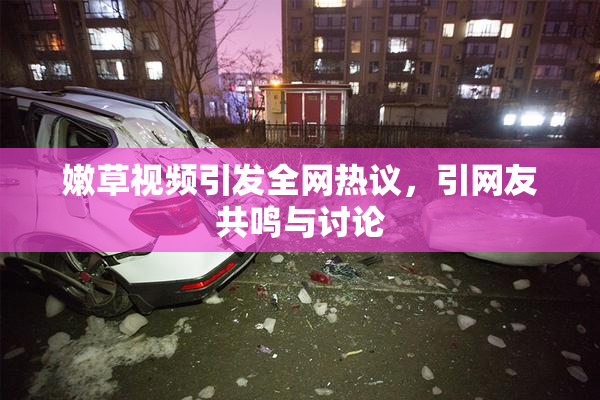 嫩草视频引发全网热议，引网友共鸣与讨论