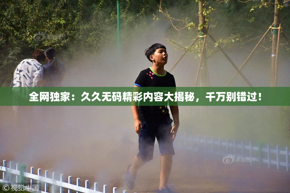 全网独家：久久无码精彩内容大揭秘，千万别错过！