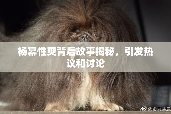 杨幂性爽背后故事揭秘，引发热议和讨论
