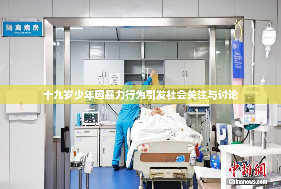 十九岁少年因暴力行为引发社会关注与讨论