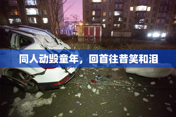 同人动毁童年，回首往昔笑和泪