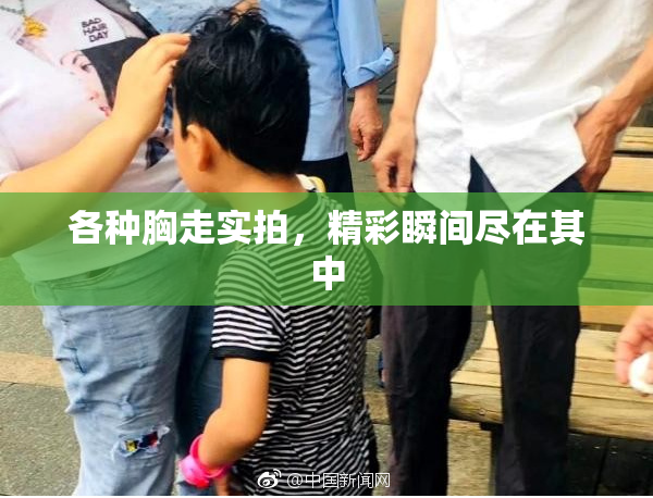 各种胸走实拍，精彩瞬间尽在其中