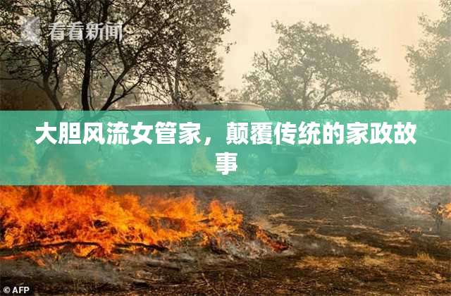 大胆风流女管家，颠覆传统的家政故事