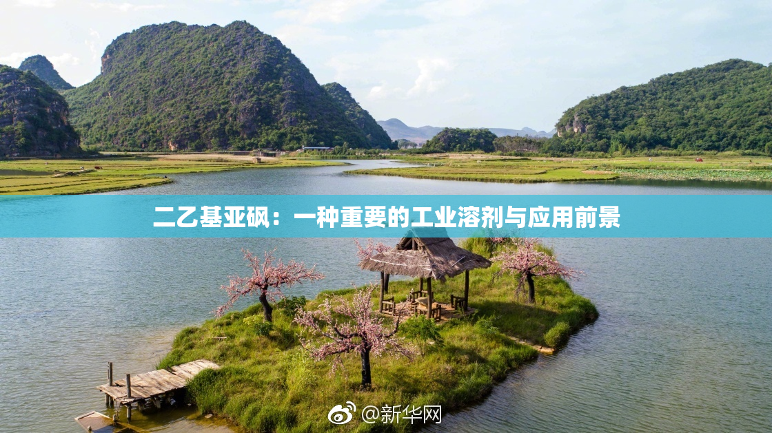 二乙基亚砜：一种重要的工业溶剂与应用前景